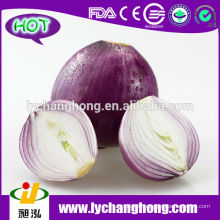 2014 Sichuan Fresh Red Onion Supplier from China / Market Price